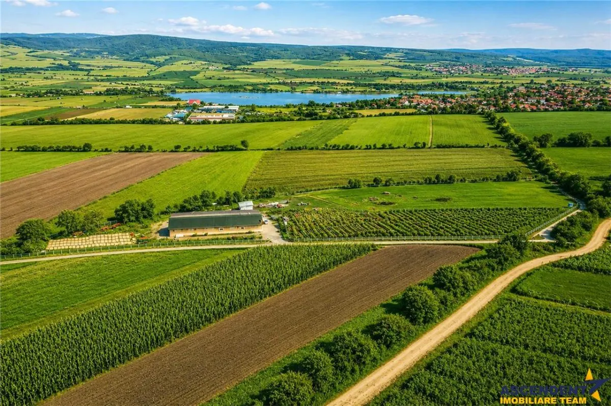 FILM! 18.000 mp, extravilan, agricol+ constructii:ferma,investitii agricole, Rotbav, Brasov - foto 1
