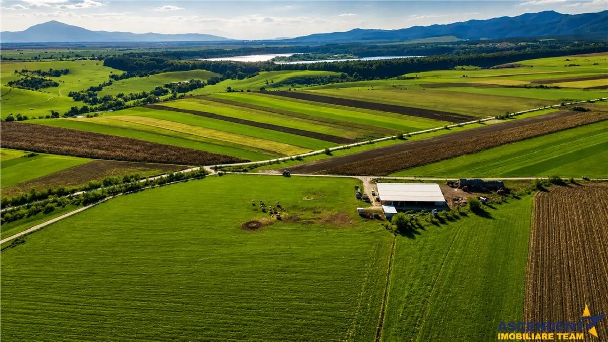 FILM! 18.000 mp, extravilan, agricol+ constructii:ferma,investitii agricole, Rotbav, Brasov - foto 6