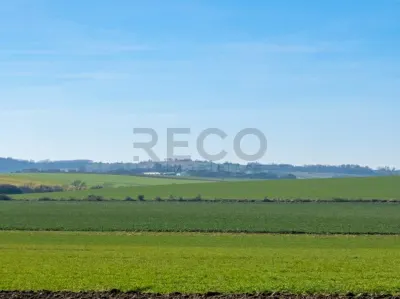 RECO Teren  pentru investitie  4ha Tauteu-Zona Autostrazii Transilvania - Tauteu