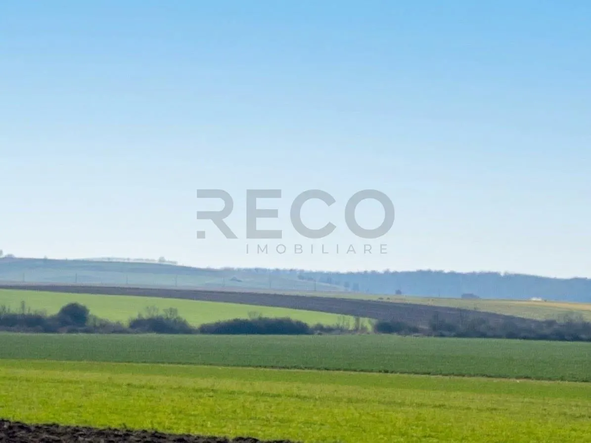 RECO Teren  pentru investitie  4ha Tauteu-Zona Autostrazii Transilvania - foto 2
