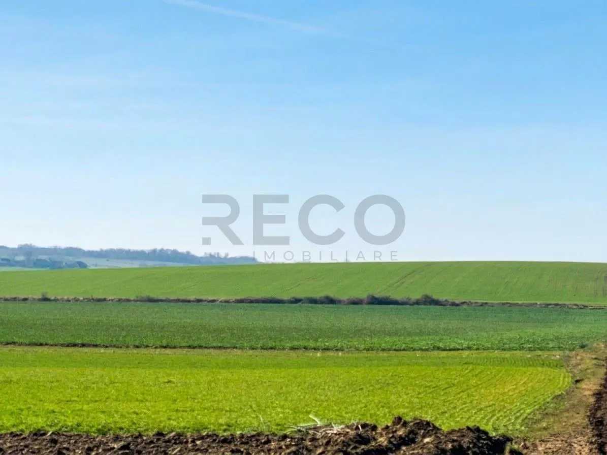 RECO Teren  pentru investitie  4ha Tauteu-Zona Autostrazii Transilvania - foto 3