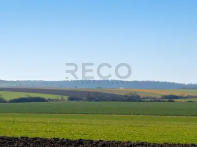 RECO Teren  pentru investitie  4ha Tauteu-Zona Autostrazii Transilvania - foto 4