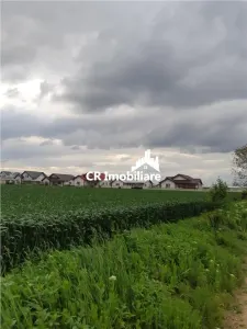 Teren in Ciolpani oportunitate investitie, pret bun - Ciolpani