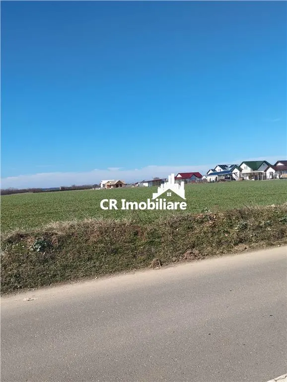 Teren in Ciolpani oportunitate investitie, pret bun - foto 2
