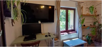 Apartament cochet,2 camere, ,cu gradina,la casa Ultracentral,Dealul Cetatii - foto 4