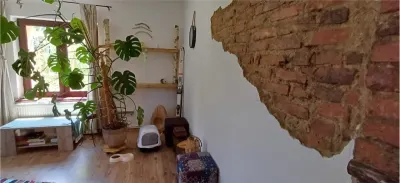 Apartament cochet,2 camere, ,cu gradina,la casa Ultracentral,Dealul Cetatii - foto 5