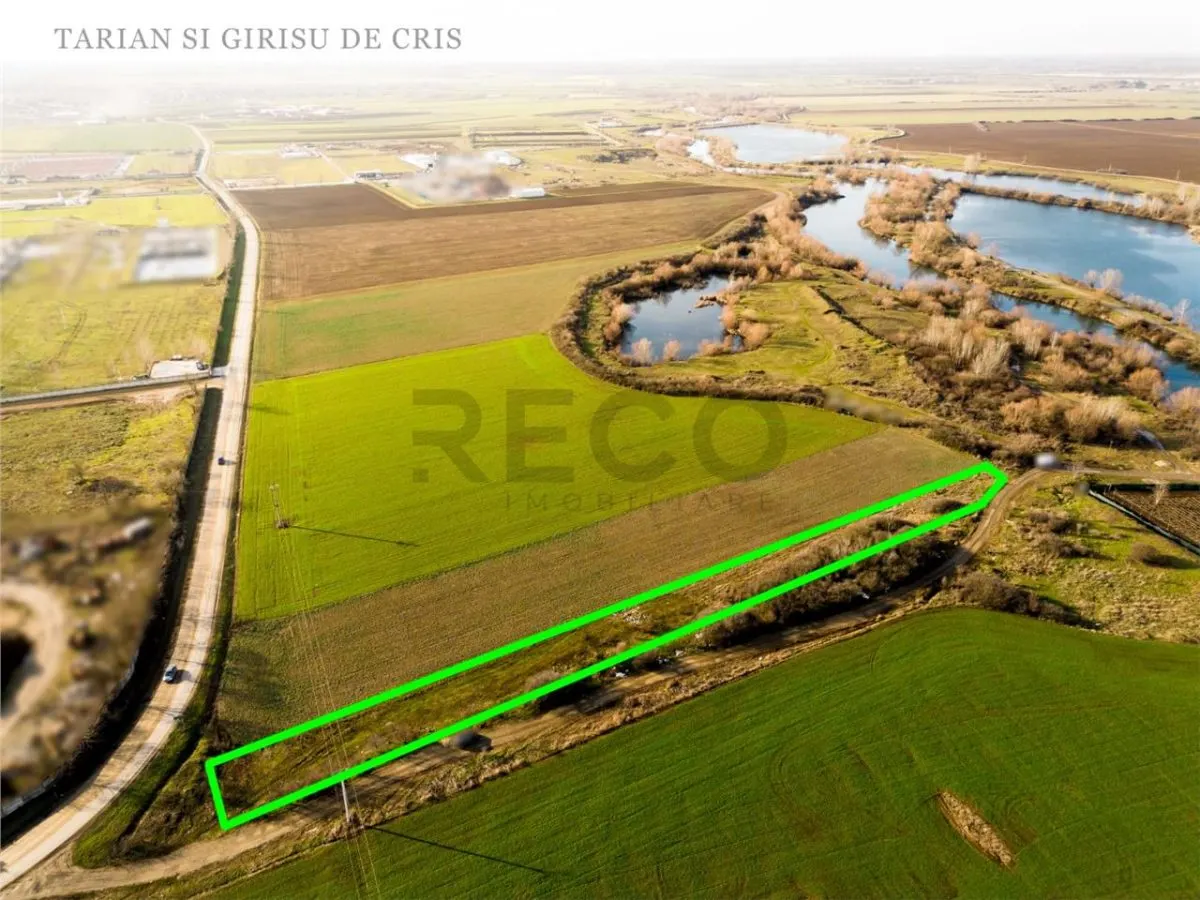 RECO Teren extravilan 2500mp in Palota - foto 3