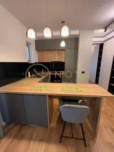 Inchiriere apartament cu 2 camere  Herastrau parcare, boxa - foto 21