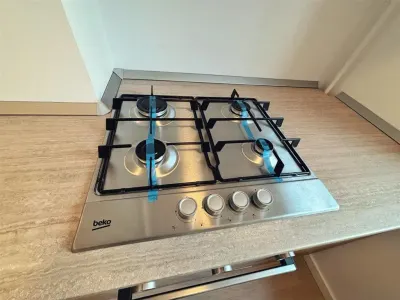 Inchiriere apartament 2 camere, bloc 2025, zona Ultracentrala - foto 10