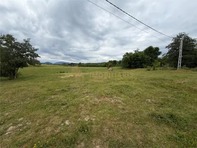 Teren intravilan 6279 mp, Danesti - Danesti