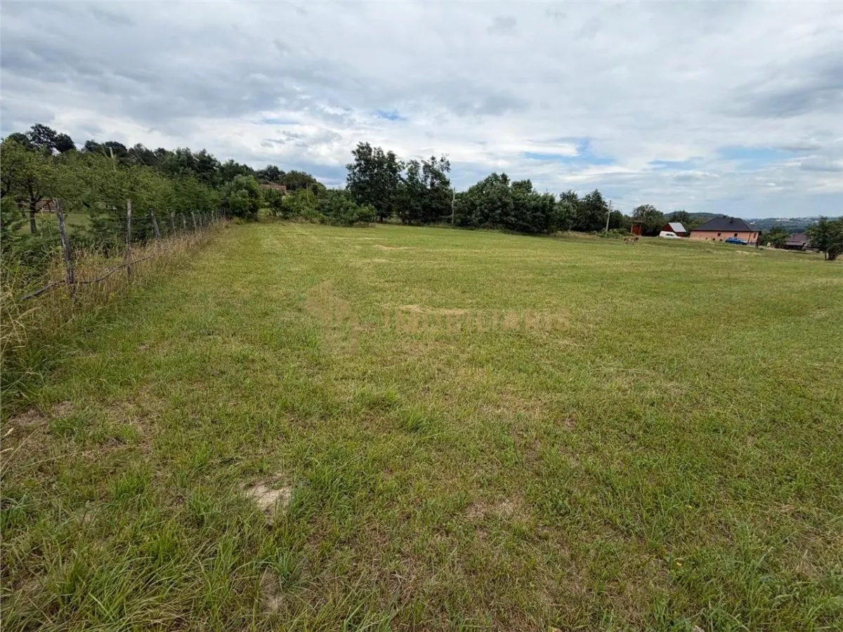 Teren intravilan 6279 mp, Danesti - foto 2