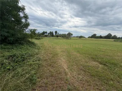 Teren intravilan 6279 mp, Danesti - foto 11