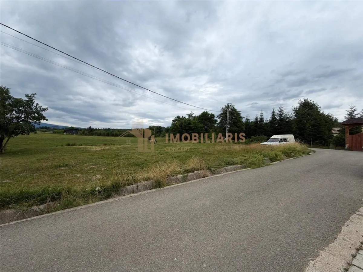 Teren intravilan 6279 mp, Danesti - foto 3