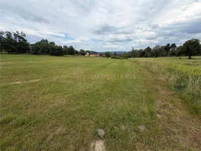 Teren intravilan 6279 mp, Danesti - foto 4