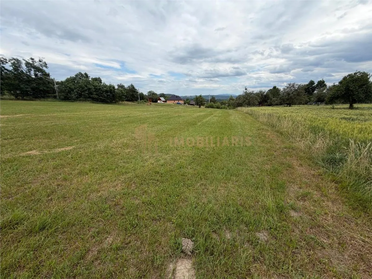 Teren intravilan 6279 mp, Danesti - foto 4
