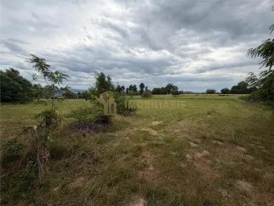 Teren intravilan 6279 mp, Danesti - foto 6