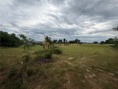 Teren intravilan 6279 mp, Danesti - foto 7