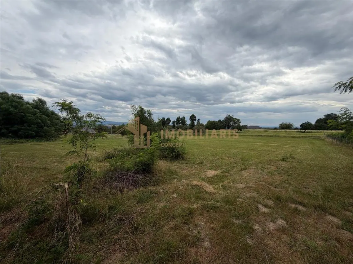 Teren intravilan 6279 mp, Danesti - foto 7