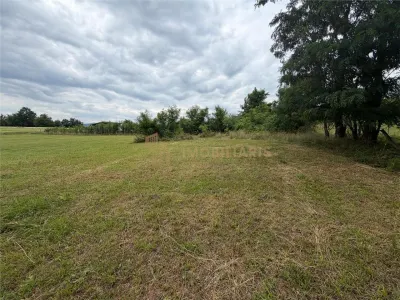 Teren intravilan 6279 mp, Danesti - foto 10