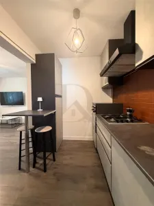 Copou - Parc , apartament 2 camere , 50 mp , amenajat modern - foto 11