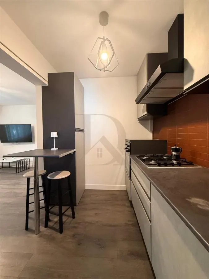 Copou - Parc , apartament 2 camere , 50 mp , amenajat modern - foto 11
