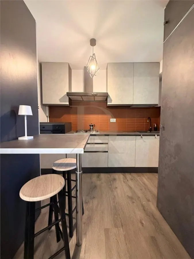 Copou - Parc , apartament 2 camere , 50 mp , amenajat modern - foto 8