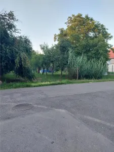 Teren - Plopi - Toate utilitatile + str. asfaltata - Timisoara