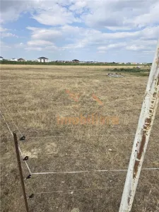 TEREN INTRAVILAN 568 MP | PROIECT CASA | CIHEI - SANMARTIN | BIHOR - foto 4