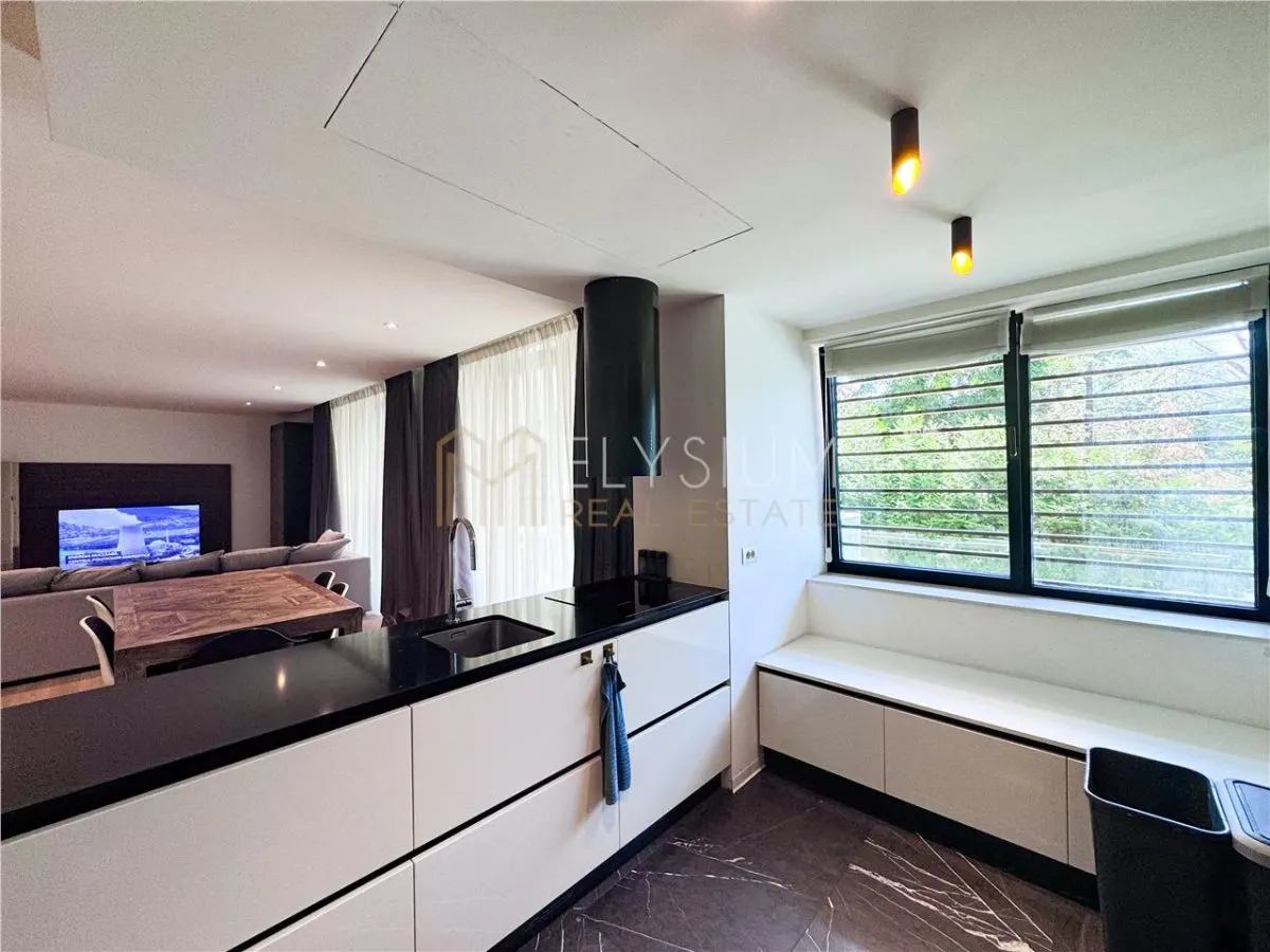 Apartament tip Duplex cu 4 camere de inchiriat One Charles de Gaulle - foto 9