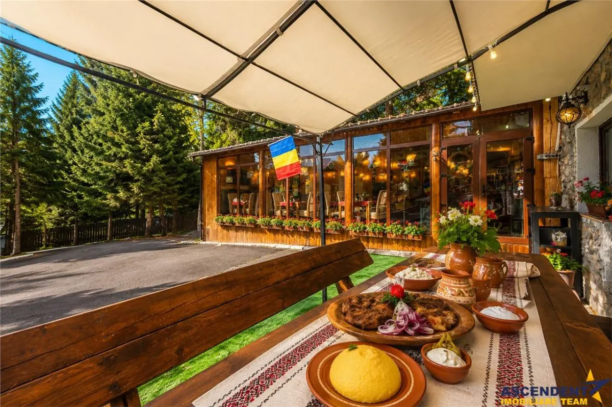 Imobilare & Transfer de Afaceri, in centrul statiunii Poiana Brasov - foto 11