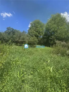 Casa de vanzare Felmer Jud Brasov - foto 17