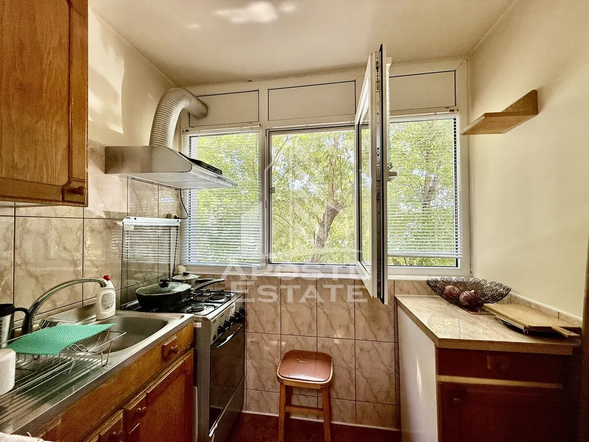 Apartament 3 camere, 2 bai, etaj 1, mobilat, zona Olimpia-Stadion - foto 13