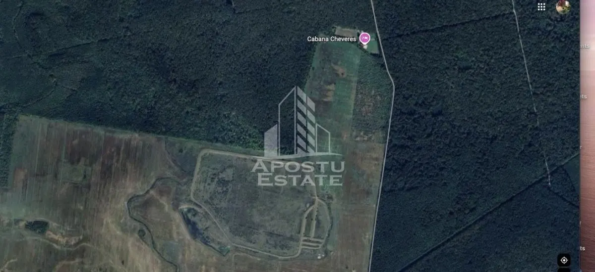 Teren 27000 mp, ideal centru seniori,liziera padurii, Cheveresul Mare. - foto 1