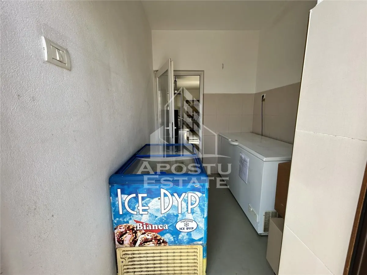 SAD de vanzare in EXCLUSIVITATE, 392 mp, 2693 mp teren, Sacalaz - foto 11