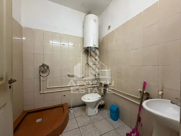 Casă 12 camere Timișoara - poza 11