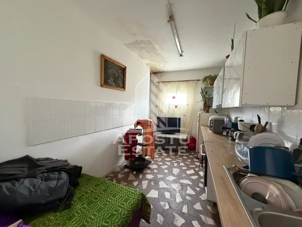 Casă 12 camere Timișoara - poza 9