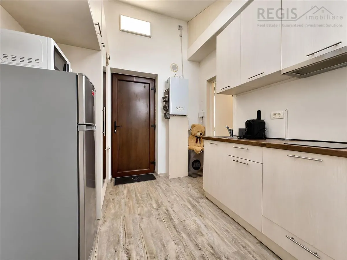 Studio tip loft cu terasa in Centrul Istoric langa primarie - foto 4