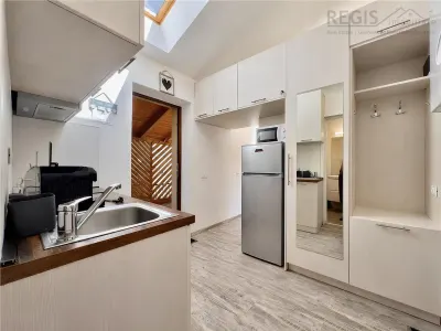 Studio tip loft cu terasa in Centrul Istoric langa primarie - foto 5
