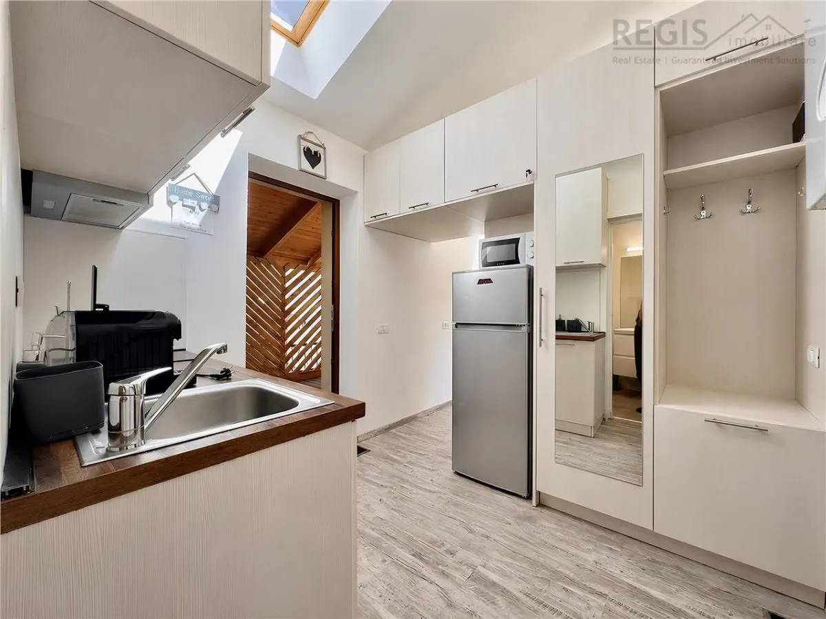 Studio tip loft cu terasa in Centrul Istoric langa primarie - foto 5