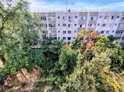 Apartament 3 camere decomandat in bloc reabilitat zona Ozana - foto 17