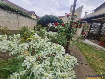 Poveste saseasca la umbra vitei de vie,cu crama,gradina flori,Central,Codlea - foto 11