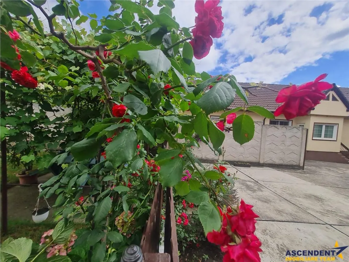 Poveste saseasca la umbra vitei de vie,cu crama,gradina flori,Central,Codlea - foto 14