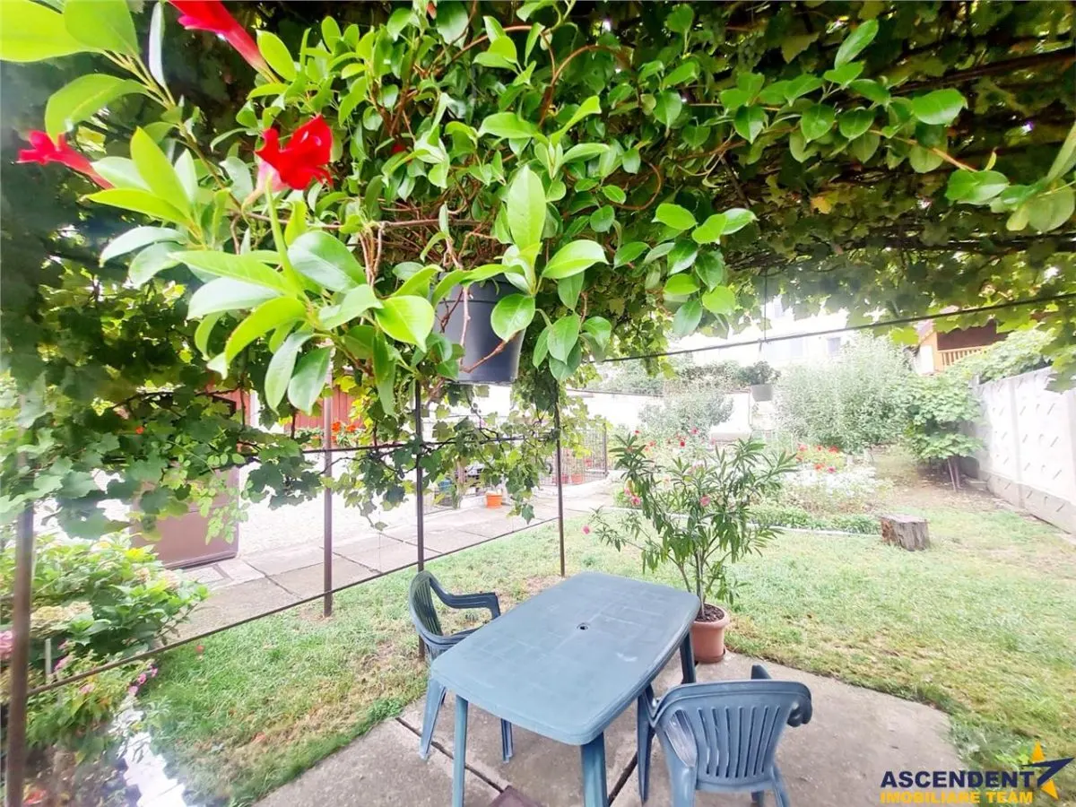 Poveste saseasca la umbra vitei de vie,cu crama,gradina flori,Central,Codlea - foto 4