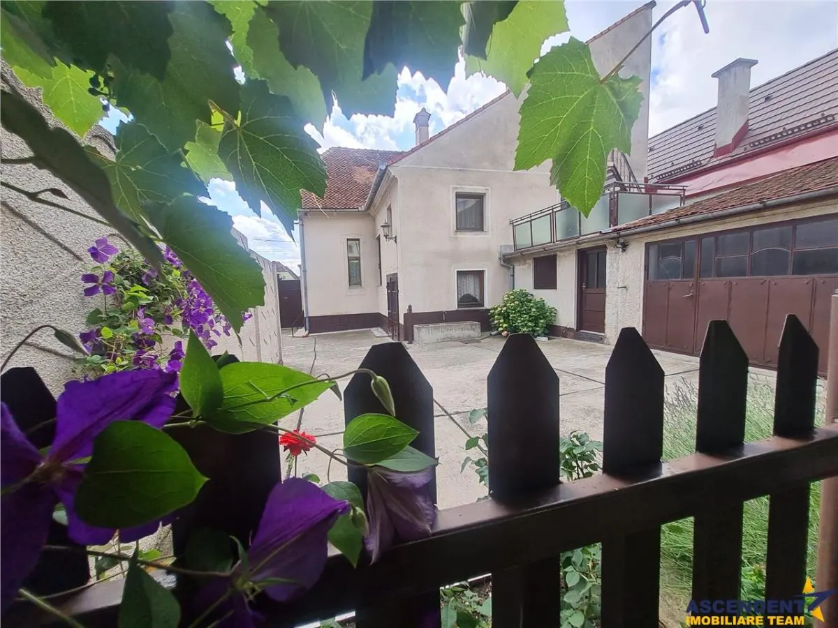 Poveste saseasca la umbra vitei de vie,cu crama,gradina flori,Central,Codlea - foto 6