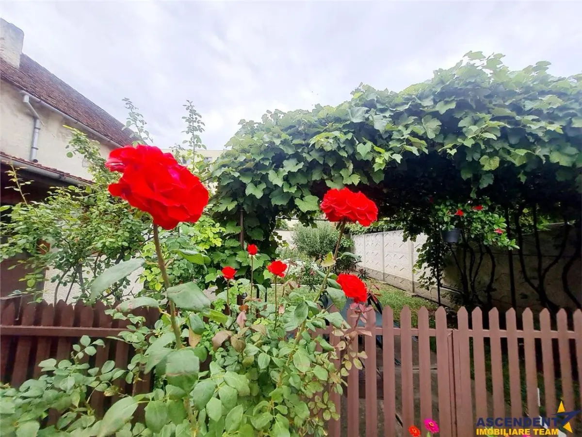 Poveste saseasca la umbra vitei de vie,cu crama,gradina flori,Central,Codlea - foto 9