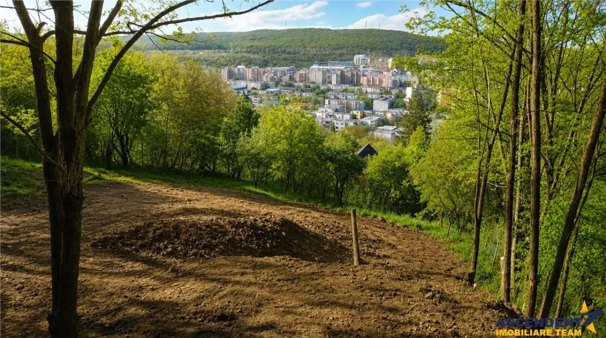 Teren intravilan, Platoul Cornesti, zona premium a orasului, 1.613 mp, oportunitate extindere si facilitati. - foto 1