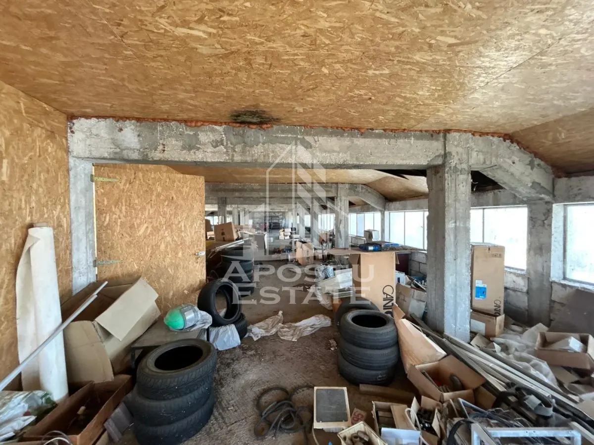 Hala 1094 mp construiti, 1200 mp teren Sacalaz. - foto 3