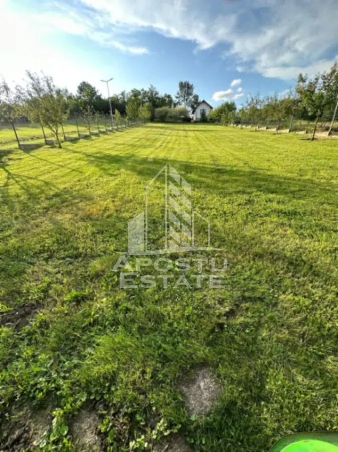 Casa de vacanta cu. teren 31.300  Nadas, 38 km de Timisoara. - foto 5