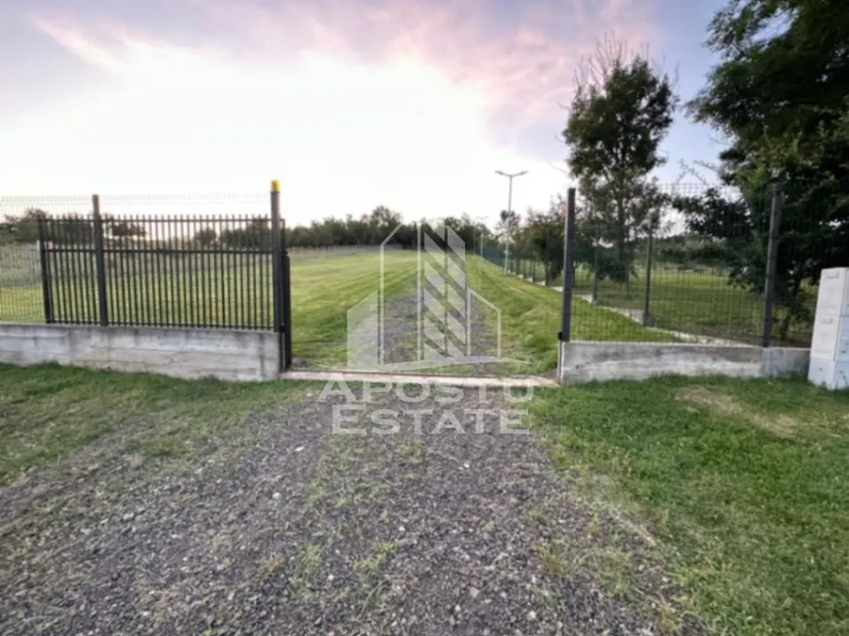 Casa de vacanta cu. teren 31.300  Nadas, 38 km de Timisoara. - foto 6