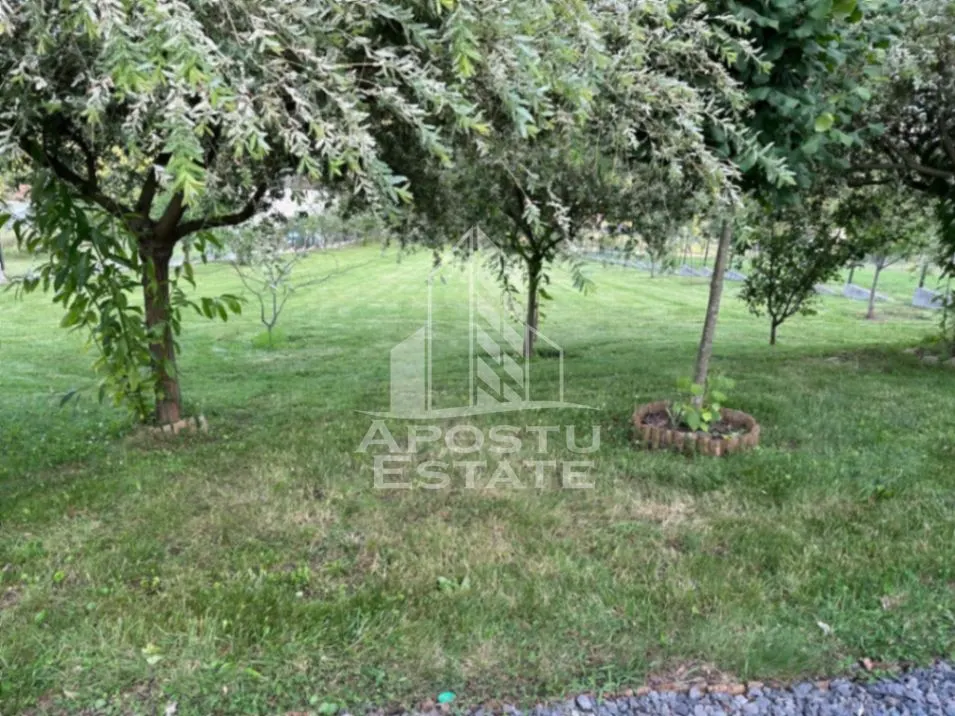 Casa de vacanta cu. teren 31.300  Nadas, 38 km de Timisoara. - foto 9